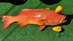 The IkiPik – Fish Spike & Bottle Opener