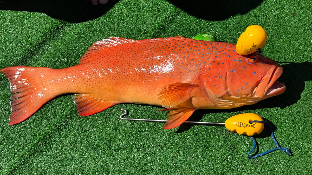 The IkiPik – Fish Spike & Bottle Opener