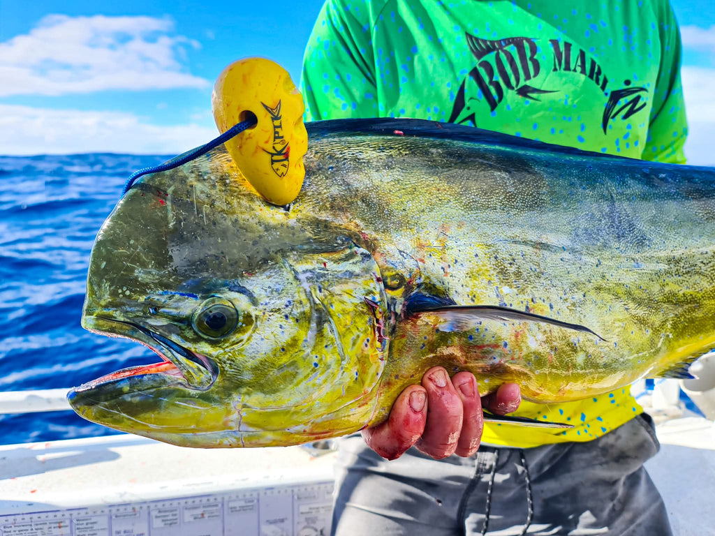 The IkiPik – Fish Spike & Bottle Opener